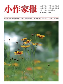 小作家报